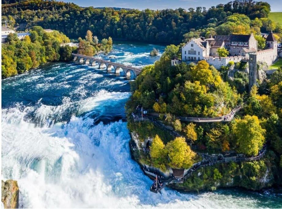 Schoene Einliegerwohnung 200M Vom Wasser Entfernt Штайн-на-Рейне Экстерьер фото