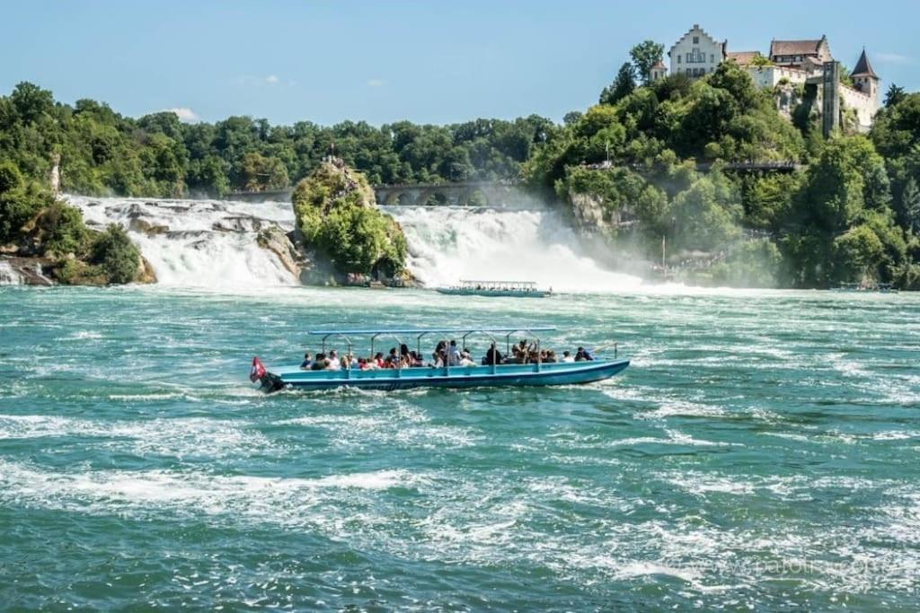 Schoene Einliegerwohnung 200M Vom Wasser Entfernt Штайн-на-Рейне Экстерьер фото
